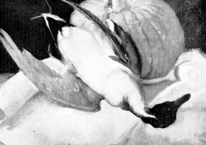 Pietro Dodero. Natura Morta. Tecnica: Olio su tela