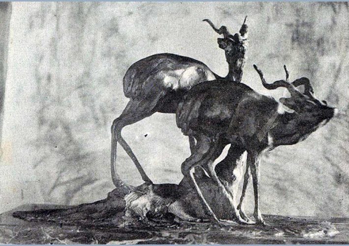 Guido Righetti. Antilopi Giganti. Scultura in bronzo